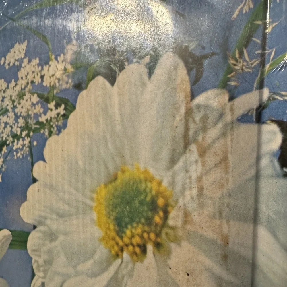 Vintage Pioneer Photo Album 20 Pages Self Adhesive Daisies Sealed NOS